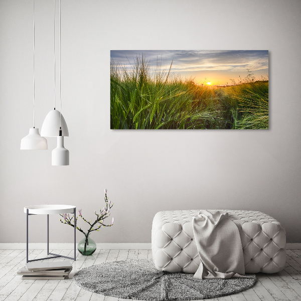 Canvas foto Tarweveld