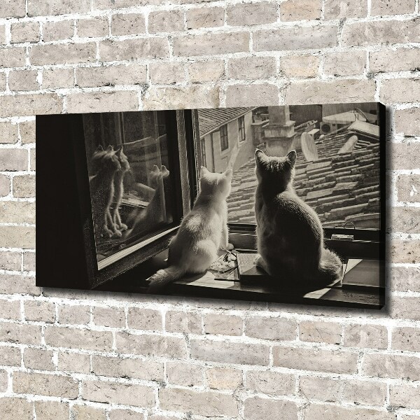 Canvas foto Katten voor het raam