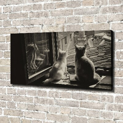 Canvas foto Katten voor het raam