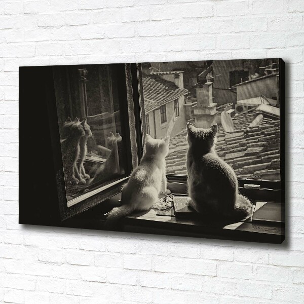 Canvas foto Katten voor het raam