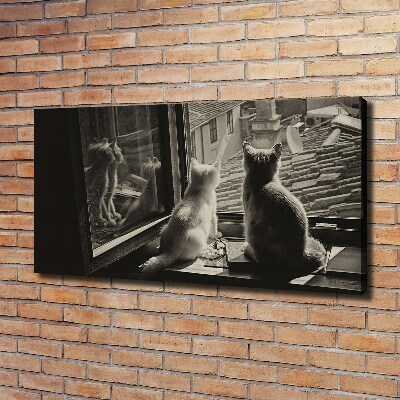 Canvas foto Katten voor het raam