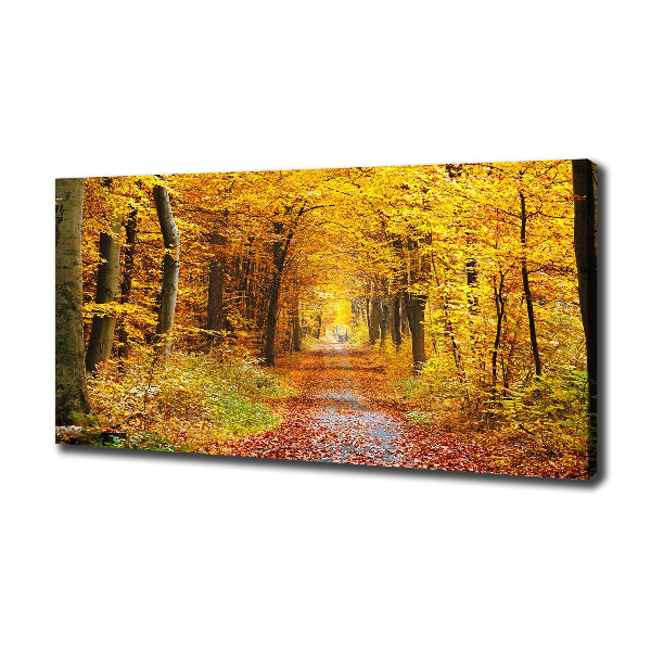 Foto canvas Bos in de herfst