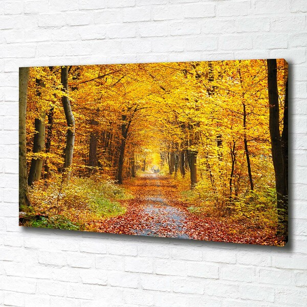 Foto canvas Bos in de herfst