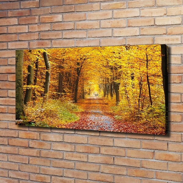 Foto canvas Bos in de herfst