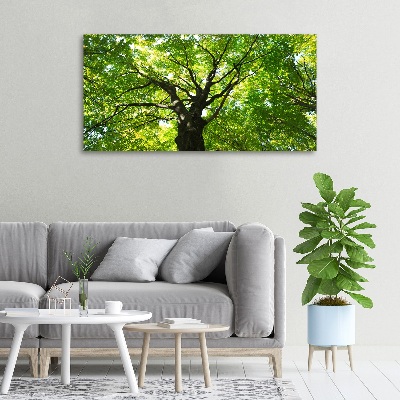 Canvas foto Groen bos