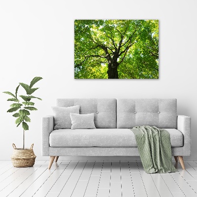 Canvas foto Groen bos