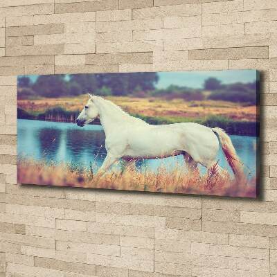 Schilderij op canvas Wit Paardenmeer