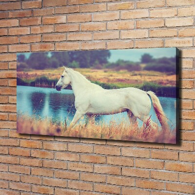 Schilderij op canvas Wit Paardenmeer
