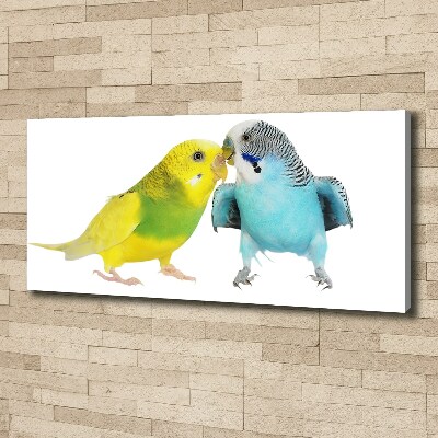 Foto op canvas Parkieten