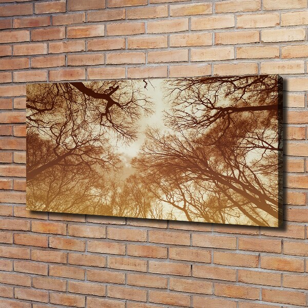 Foto op canvas Woud