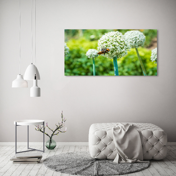 Canvas foto Bloeiende knoflook
