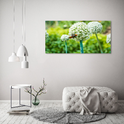 Canvas foto Bloeiende knoflook