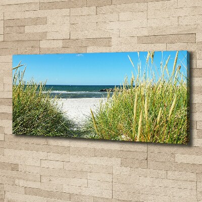 Foto op canvas duinen aan zee