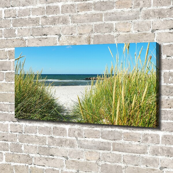 Foto op canvas duinen aan zee