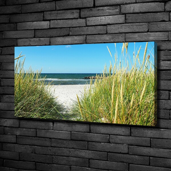 Foto op canvas duinen aan zee