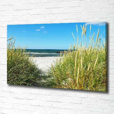 Foto op canvas duinen aan zee