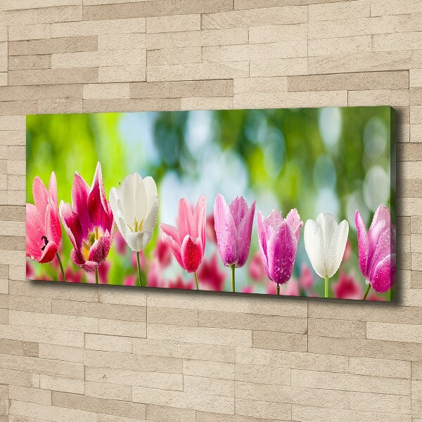Schilderij op canvas Tulpen