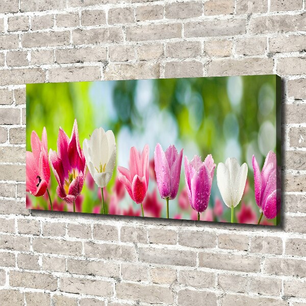 Schilderij op canvas Tulpen