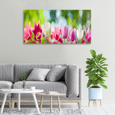 Schilderij op canvas Tulpen