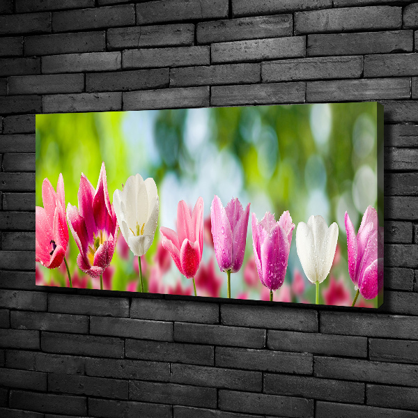 Schilderij op canvas Tulpen