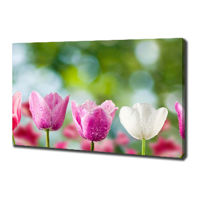 Schilderij op canvas Tulpen