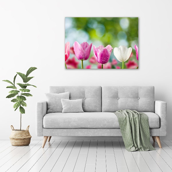 Schilderij op canvas Tulpen