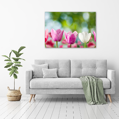 Schilderij op canvas Tulpen