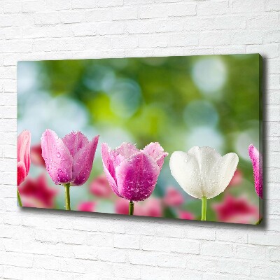 Schilderij op canvas Tulpen