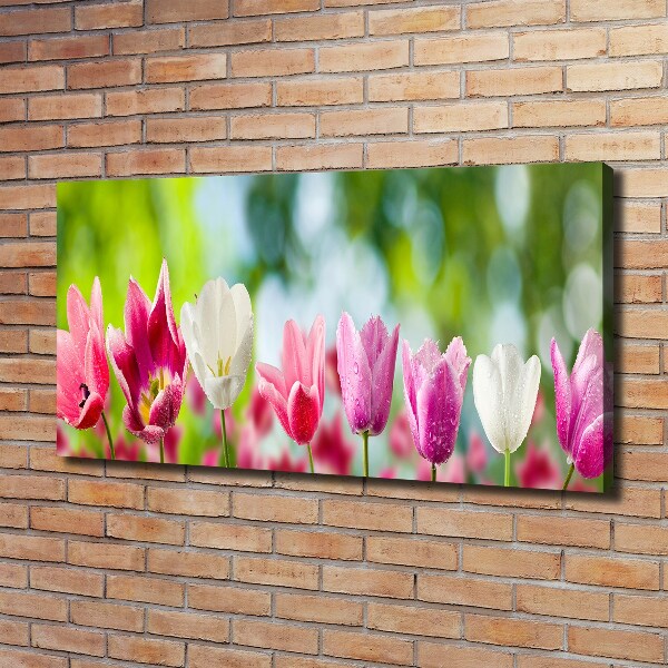 Schilderij op canvas Tulpen