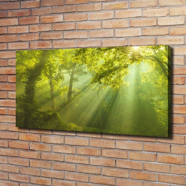 Canvas foto Bos in de zon