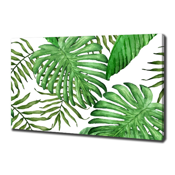 Foto op canvas Tropische bladeren