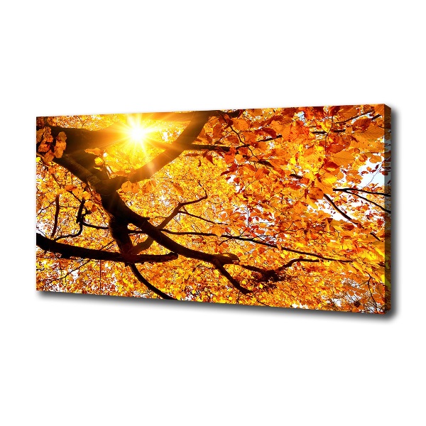 Foto op canvas Herfstboomkroon