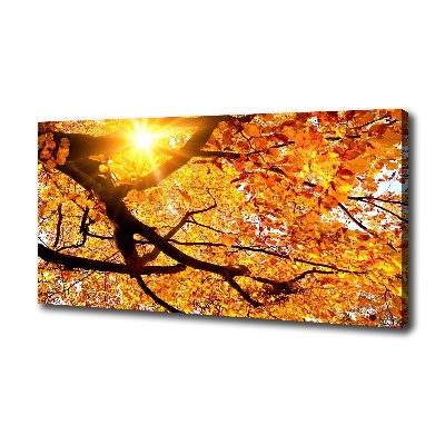Foto op canvas Herfstboomkroon