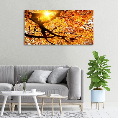 Foto op canvas Herfstboomkroon