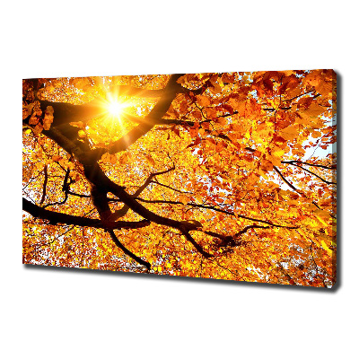 Foto op canvas Herfstboomkroon