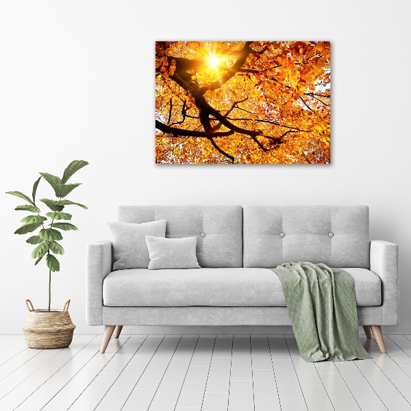 Foto op canvas Herfstboomkroon