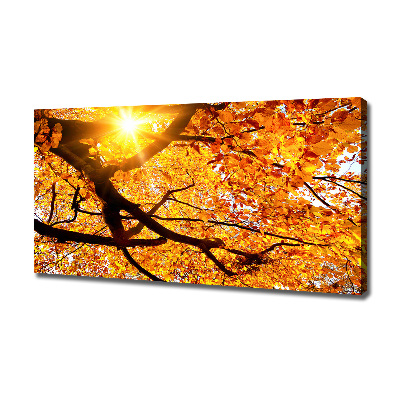 Foto op canvas Herfstboomkroon