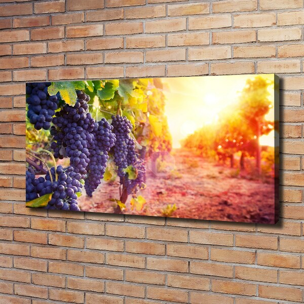 Foto op canvas Wijnranken