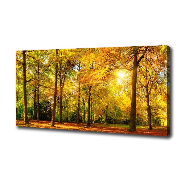 Foto op canvas Bos in de herfst