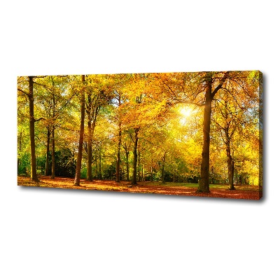 Foto op canvas Bos in de herfst