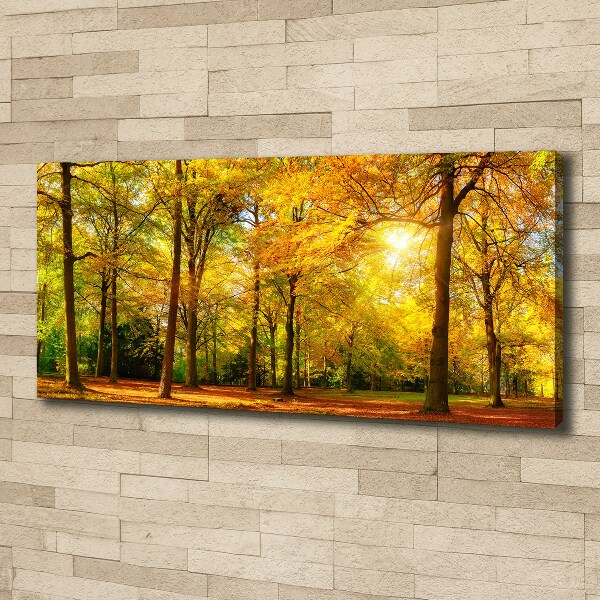 Foto op canvas Bos in de herfst