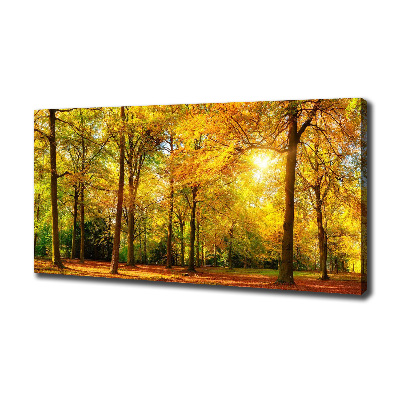 Foto op canvas Bos in de herfst