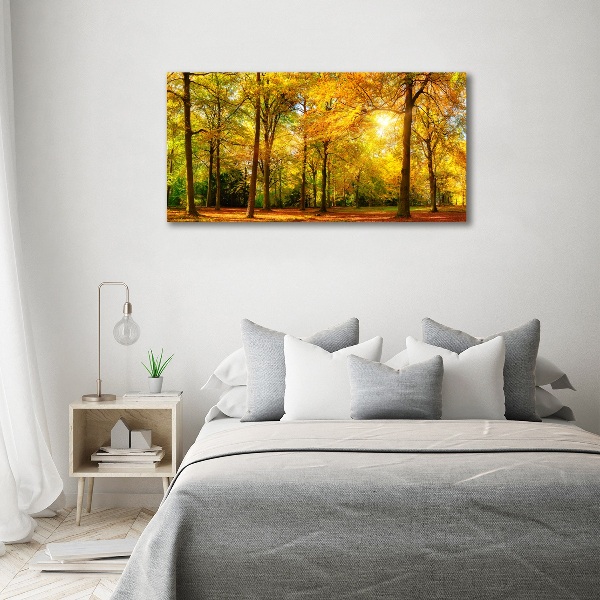 Foto op canvas Bos in de herfst