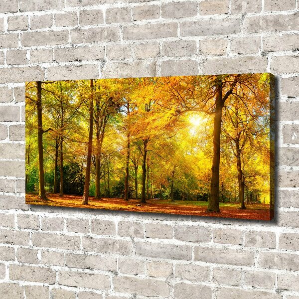 Foto op canvas Bos in de herfst