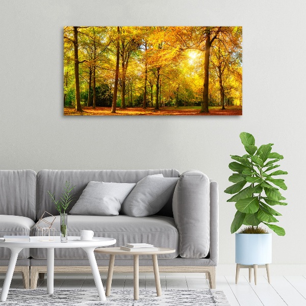 Foto op canvas Bos in de herfst