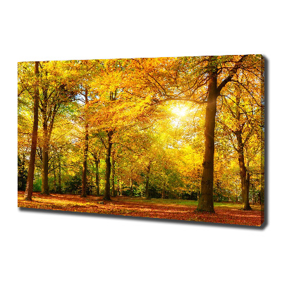 Foto op canvas Bos in de herfst