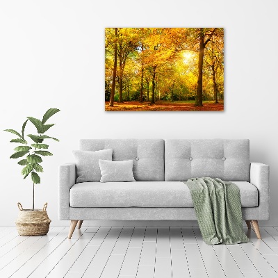 Foto op canvas Bos in de herfst