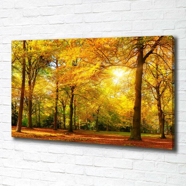 Foto op canvas Bos in de herfst