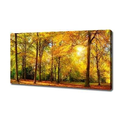Foto op canvas Bos in de herfst