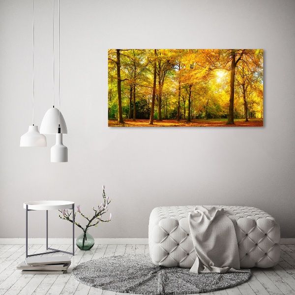 Foto op canvas Bos in de herfst